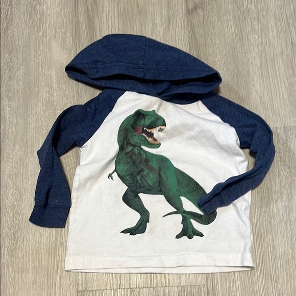 4 for $20 Kids Dinosaur Hoodie - Green and Blue - Picture 1 of 1